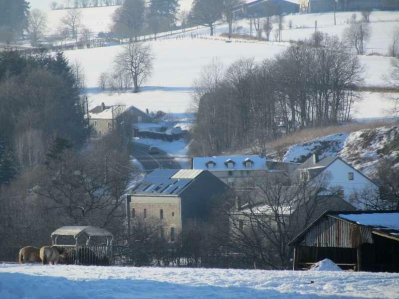 Bed and Breakfast Au-Magasin Vielsalm Zewnętrze zdjęcie